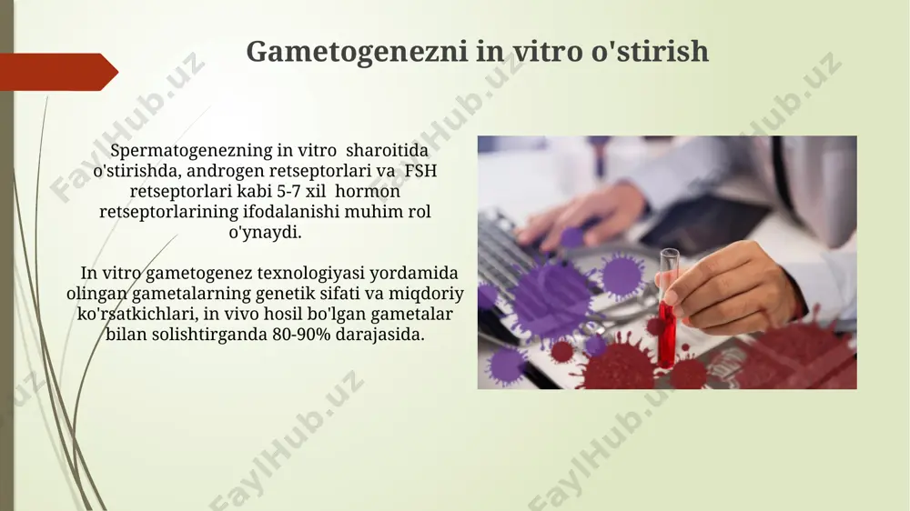 gamotogenezni diagnostikasi - Page 5