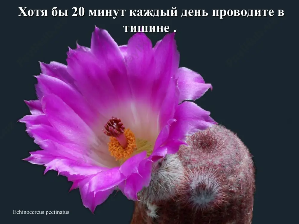 как улучшить свою жизнь: советы - Page 3