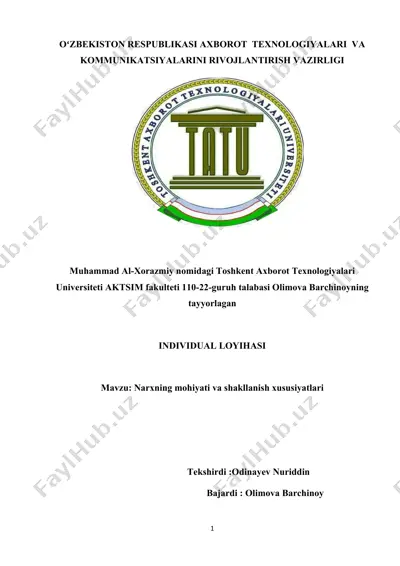 individual loyihasi — DOC