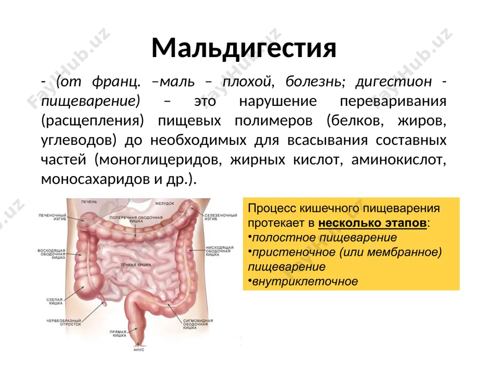 лактозой определение характера гликемической кривой после нагрузки лактозой перфузионное исследование кишечного пищеварения и всасывания определение панкреатической эластазы-1 в кале тест шиллинга и другие. рентгенологическое исследование желудка эндоскопия двухбаллонная энтероскопия колоноскопия виртуальная энтероскопия и колоноскопия синдром пищеводного, желудочного и кишечного кровотечения синдром пищеводного, желудочного и кишечного кровотечения по характеру: острое хроническое по локализации: из верхних отделов жкт из нижних отделов жкт причины кровотечения из верхних отделов жкт причины кровотечения из нижних отделов жкт клиническая картина кровотечения лабораторные и инструментальные методы диагностики общий анализ крови (гемоглобин, ретикулоциты, гематокрит, тромбоциты) исследование показателей коагуляционных свойств крови (протромбиновый индекс, коагулограмма, время свертывания, длительность кровотечения) группа крови, резус-фактор для распознавания источника кровотечения применяют: пальцевое ректальное исследование: эндоскопическое исследование (фгс, ректороманоскопия, фиброколоноскопия); компьютерная томография и ямр; диагностическая лапороскопия. эндоскопия колоноскопия диагностическая лапороскопия