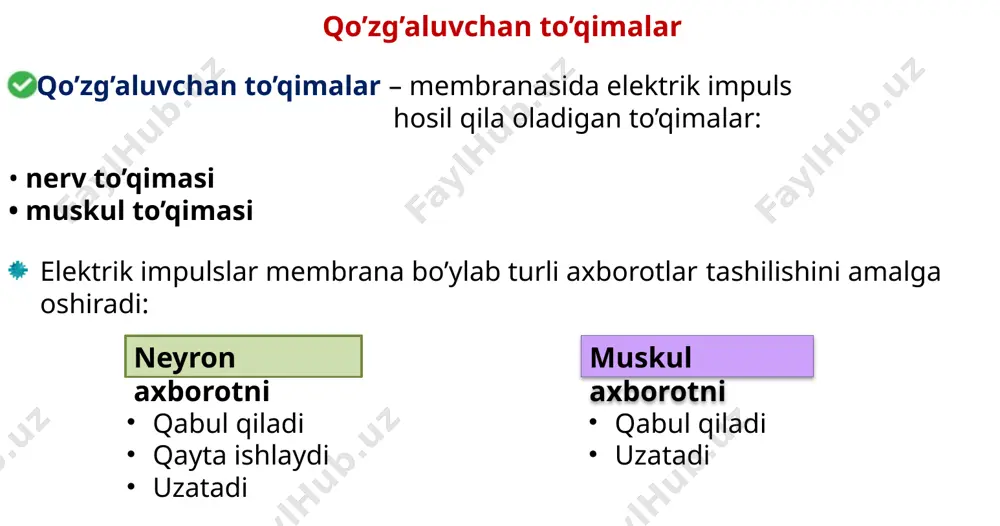 , turli shaklli, ixtisoslashgan hujayra bo`lib, ular neyronlar hamda kapilyarlar oralig`ini to`ldiradi. gliya atamasi grekcha bo`lib yelimni anglatadi. gliya hujayralarini quyidagi turlari farqlanadi: astrogliya (makrogliya) - asosan tayanch va kapilyardan zarur moddalarni neyronga tashish vazifasini bajaradi. astrotsitlar mns ning sirtqi va ichki yuzasida keng tarqalgan. marginal neyrogliya - nerv nayining ichki va sirtqi qatlamlarida uchraydi. nerv tolalari oralig`ida joylashib, mielin qobiqlarini hosil qiladi. marginal gliyaning oligodendritlari markaziy va periferik nerv tizimi neyron tanalarini o`raydi va nerv qobig`ini hosil qiladi. 3. periferik- shvann, vns dagi stellit (mantiya), lemmotsit va boshqa hujayralardan iborat. 4. ependimal neyrogliya - neyroepetelial hujayralardan iborat bo`lib, orqa miyaning markaziy kanali va miya qorinchalari devorlarini qoplab olgan. ular silindrik epiteleyni eslatadi va shuning uchun ham ependimal deb ataladi. 5. mikrogliya - mns ning retukuloendoteliyal tizimidan iborat bo`lib, patologik holatlardagina rol o`ynaydi. ular miya yumshoq pardasining moddaga yopishib turgan qismida to`plangan. mikrogliya harakatlanish va fagotsitoz qobiliyatiga ega. zarur bo`lganda …