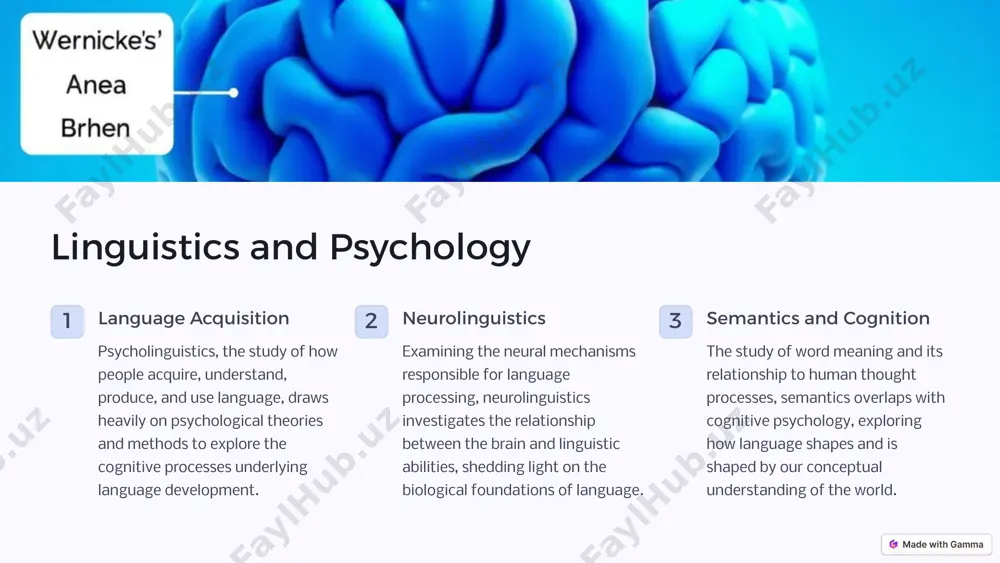 he complex interplay between language, culture, and social affiliation. linguistics and computer science 1 natural language processing the intersection of linguistics and computer science has given rise to the field of natural language processing (nlp), which focuses on the computational analysis and generation of human language, enabling machines to understand, interpret, and produce natural language. 2 speech recognition combining linguistic knowledge with advances in machine learning and signal processing, speech recognition technology allows computers to transcribe and interpret spoken language, revolutionizing human-computer interaction. 3 machine translation leveraging insights from linguistics, machine translation systems can automatically translate text or speech from one language to another, breaking down language barriers and facilitating global communication. linguistics and neuroscience language acquisition and the brain neurolinguistic research explores the neural mechanisms underlying language acquisition, shedding light on how the human brain processes, stores, and retrieves linguistic information, with implications for understanding language development and disorders. …