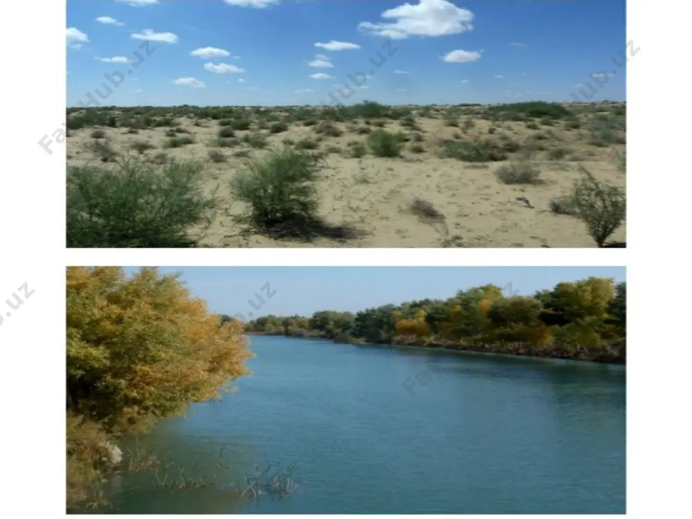 flora and fauna around touristic sights in khorezm and karakalpakstan - Page 2