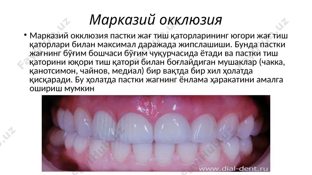 артикуляция, окклюзия - Page 5