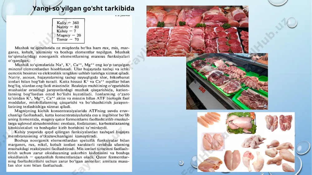 keyin qizil rangi saqlanib qolsa, unda oksimioglobin hali to'liq denaturatsiyaga uchrama- ganligi va go'shtning xomligidan darak beradi. agar go'sht eski bo'lsa, iste'mol qilishga tayyor bo'lgandan keyin ham qizil rangini saqlab qolsa, u holda go'shtda mikrobiologik jarayonlar ketgan- ligidan dalolat beradi. go'shtning buzilgan yoki buzilmaganligini bilish uchun uning ichiga qizdirilgan pichoqning uchi tiqib olinadi. agar go'sht buzilgan bo'lsa, pichoqda sassiq hid qoladi. redutsirlaydigan sharoitda nitratlar knoj) qayta-rilib, nitritlar . go'shtda nitratlar,denitrifitsirlaydigan bakteriyalar natijasida qaytariladi. kislotali muhitda (ph go'shtda uchraydigan biokatalizatorlar, fermentlari qaytarilib,azot oksidini (no) hosil qiladi. yana ham kislotali reaksiya muhitini (ph 5,5 dan past) nitritlarining parchajanishiga hissa qo'shadi va azon oksidlarining yo'qolishiga, havoda uchib ketishiga sabab bo'ladi. azot oksidlari nitritiarning parchalanishida natriy bilan bog'lan-gan gemomioglobin molekulasidagi (mb) yoki remioglobinni, no-mioglobin - nitrozomioglobin yoki no-remioglobinni hosil qiladi,nitrozomioglobin, oksigemoglobinga o'xshab, go'shtga pushti qizil rang beradi. go'shtda qizil rang chunki issiqlik natijasida nitrozomiogloijin denaturatsiyalangan no-remoxromogen pushti-qizil rangga mioglobinni metmioglobin nitrozomioglobinga o'tishi yutish o'zgarishi …