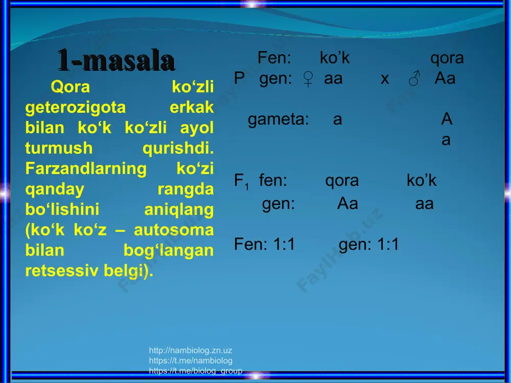 ♂ aabb 1/8=12,5% http://nambiolog.zn.uz https://t.me/nambiolog https://t.me/biolog_group f1 ab ab ab n,t aabb n,t aabb ab n,s aabb n,s aabb ab n,t aabb kar,t aabb ab n,s aabb kar,s aabb http://nambiolog.zn.uz https://t.me/nambiolog https://t.me/biolog_group g’o’zaning hosil shoxi cheklanmagan (s), gultojbarglari sariq-limon rangdagi (u) formasi hosil shoxi cheklangan (s), gultojbarglari och sariq rangli (u) formasi bilan chatishtirilganda, ¼ qism cheklanmagan hosil shoxli, gultojbarglari sariq-limon rangli, ¼ qismcheklangan hosil shoxli, gultojbarglari sariq-limon rangli, ¼ qism cheklanmagan hosil shoxli, gultojbarglari och sariq rangli, ¼ qism cheklangan hosil shoxli, gultojbarglari och-sariq rangli o’simliklar olingan. chatishtirishda ishtirok etgan ota-ona formalarning genotipini aniqlang. 3-masala http://nambiolog.zn.uz https://t.me/nambiolog https://t.me/biolog_group http://nambiolog.zn.uz https://t.me/nambiolog https://t.me/biolog_group yechish s-hosil shoxi cheklanmagan s-hosil shoxi cheklangan u-gultojbarglari sariq – limon rangli u – gultojbarglari och-sariq rangli p fen: ch, sar chek, och sar gen: ♀ ssuu x ♂ ssuu gametalar: http://nambiolog.zn.uz https://t.me/nambiolog https://t.me/biolog_group f1 su su ssuu su ssuu su ssuu su ssuu http://nambiolog.zn.uz https://t.me/nambiolog https://t.me/biolog_group 4-masala …