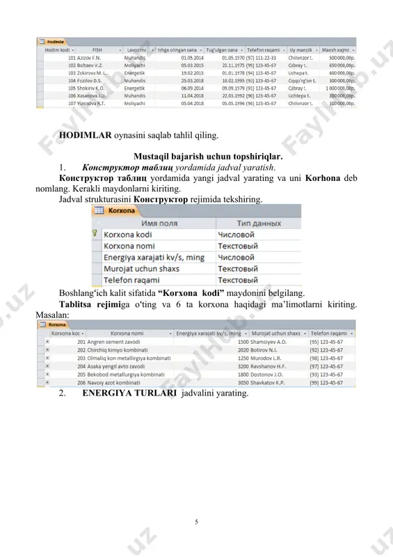 energiya ist’emoli ma’lumotlar bazasi - Page 5