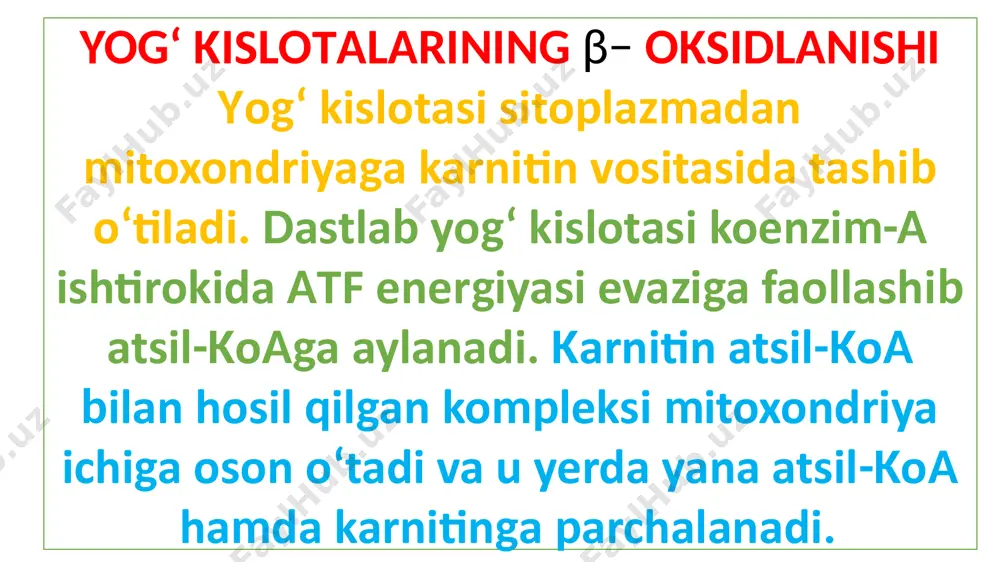 kislotalar sintezi tarkibida bitta qo‘shbog‘ tutuvchi palmitoolein va olein kislotalari jigar va yog‘ to‘qimasi hujayralari mikrosomalarida maxsus oksigenazalar ta’sirida kislorod ishtirokida palmitat va stearinat kislotalaridan sintezlanadi. ushbu reaksiyada bir molekula kislorod ikki juft elektron uchun akseptor vazifasini o‘taydi, ularning bir jufti substrat (atsil-koa) hisobidan bo‘lsa, ikkinchi jufti nadfh2 hisobiga: to‘yinmagan yog‘ kislotalar sintezi linol va linolen kislotalari odam va hayvon organizmida sintezlanmaydi. organizmga ular ovqat tarkibida tushadi. boshqa o`ta to‘yinmagan yog‘ kislotalari jigarda mikrosomal va mitoxondrial fermentlar ishtirokida palmitoolein, olein, linol, linolen kislotalari molekulasining uzayishi hamda qo`shimcha qo‘shbog‘lar kiritilishi yo`li bilan sintezlanishi mumkin. triglitseridlar sintezlanishi toqimalarda triglitseridlar glitserin va yog‘ kislotalaridan sintezlanadi. dastlab glitserin kinaza ta’sirida glitserin atf evaziga fosforillanadi va glitserol-3-fosfat hosil bo‘ladi. keyingi bosqichda glitserol-3-fosfat ikki molekula faol yog‘ kislotasi (atsil-koa) bilan birikib fosfatid kislota hosil bo‘ladi. undan fosfatidatfosfataza ta’sirida fosfat kislota qoldig‘i ajralishi natijasida hosil bo‘lgan diglitseridga yana bir molekula atsil-koa birikishi natijasida triglitserid hosil bo‘ladi. yog‘lar …
