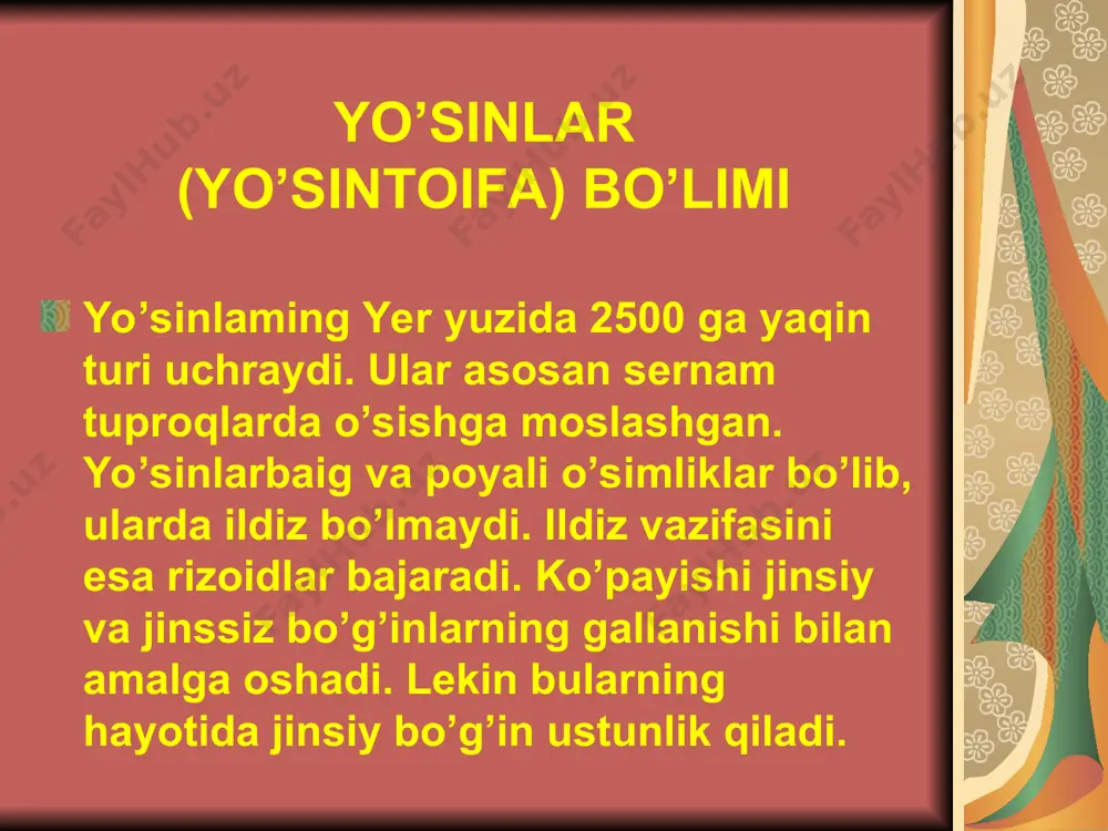 yo`sintoifa o`simliklar - Page 2