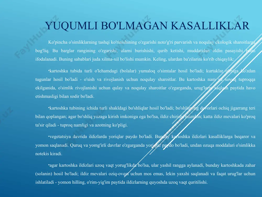 adi. omborda havo harorati 1-3 ° s darajasida saqlanadi. havoning nisbiy namligini kamaytirish uchun kartoshka omborini doimiy ravishda ventilyatsiya qilish kerak. kimyoviy moddalar saqlashdan oldin - ildiz mevalarni ekmoqchi maxim, ks fungitsidi bilan püskürtün (xususiy tomorqalarda va tovar xo'jaliklarida 0,2 l / t dan, ishchi eritmaning iste'moli 2 l / t). bortga chiqishdan oldin - selest top, ks (0,4 l / t) insektitsid-fugitsid preparati bilan stol ustidagi ildiz mevalarni ekmoqchi . ildizlarni ekishda - tuproqni kvadris, sk (3,0 l / ga) fungitsidi bilan püskürtmek. qoraqo'tir tuberkulyoz yoki oosporoz patogen oospora pustulans kasallik belgilari semptomlar kartoshkani saqlash uchun qo'ygandan keyin paydo bo'ladi va bahorda kuchayadi. ildizlarda diametri 1-4 mm bo'lgan qorong'u tüberküller hosil bo'ladi, ular keyinchalik yopiq pustulalarga aylanadi, ularning chekkalari bosilgan, markaziy qismi esa konveksdir. bu xususiyat tufayli kasallik ko'pincha chechak deb ataladi. tuberkullar alohida joylashgan yoki birlashadi. ushbu kasallikning belgilari dastlabki bosqichda umumiy qoraqo'tirga o'xshaydi. pustulalar namlanganda to'q jigarrang, …