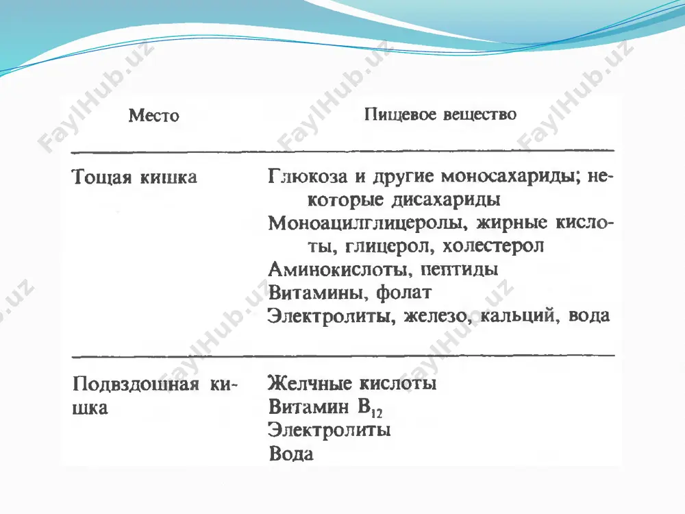 r olib keladi: qonda glyukoza miqdori ko’payishi, uglevodlar, aminokislotalar, asosan leysin, gastroenteropankreatik sistemasi: xolesistokinin, gip, gpp-1, glyukagon aktg, stg va esterogen. sulfanilmochevina preparatlari, qon plazmasida kaliy va kalsiy miqdori, erkin yog’ kislotalarning miqdori ko’tarilishi insulin sekresiyasi somatostatin ta’sirida kamaydi. beta-hujayralar avtonom nerv sistema ta’sirida ham bo’ladi ♦ parasimpatik qismi ( adashgan nervning holinergik uchlari) insulin ajralishini kuchaytiradi ♦ simpatik qismi (aktivatsiya α 2-adrenoreseptorlar) insulin ajralishini kamaytiradi. insulinning biologik o’rni uglevod almashinuviga ta’siri: 1. hujayraga gkyukoza kirishini ta’minlaydi, a) oqsil-retseptorlar bilan kanallar hosil qiladi, ular bo’ylab glyukoza hujayra ichiga kiradi b) adenilatsiklaza sistemasi orqali natriy-kaliy nasosini aktivlashtiradi. glikolizni aktivlashtiradi - glyukozaning dixotomik parchalanishi, glyukokinazani, geksokinaza, fosfofruktokinaza , piruvatkinaza aktivligini oshiradi. 3. trikarbon kislotalarning siklini aktivlaydi, glikogen biosintez ini aktivlaydi, chunki geksokinaza, glyukokinaza glbkogensintaza aktivligini oshiradi. 5. glyukozaning pentozafosfat parchalanishini aktivlaydi, glyukozo – 6 – fosfatdegidrogenazaning aktivligini oshiradi 6. glikogen parchalanishini kamaytiradi, chunki fosfodiesteraza aktivligi ts – amf parchalanishi va inaktivatsiyasiga olib …