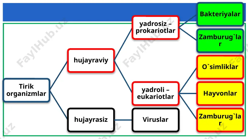 ya dnksi bakteriya hujayrasiga fagning dnksini kirishi fagning bakteriya irsiy materiali bilan birikishi fagning dnksini ko’payishi bakteriya hujayrasida kapsidi shakllangan faglar viruslarning hujayralar bilan o‘zaro ta’siri. i9 presentation to joe smith ‹#› 9 viruslar inson hayotiga katta xavf soladi. viruslar inson hayotiga katta xavf soladi. ular bir necha yuqumli kasalliklar (gripp, quturish, sariq kasalligi, ensefalit, qizil- cha va boshqalar)ning qo‘zg‘atuvchilari hisoblanadi qizilcha kasalligi i9 presentation to joe smith ‹#› virusli kasalliklar gerpes tamaki mozaikasi bilan zararlangan o’simlik i9 presentation to joe smith ‹#› virusli kasalliklar hozirgi kunda insoniyatga katta xavf solib turgan virus bu koronavirusdir (covid19). (koronavirus yuqmasligini oldini olish bo’yicha batafsil tushuntiriladi) i9 presentation to joe smith ‹#› image1.png image2.png image3.jpeg image4.jpeg image5.jpeg image6.jpeg image7.jpeg image8.png image9.png image10.png image11.png image12.jpeg image13.jpeg image14.png image15.png