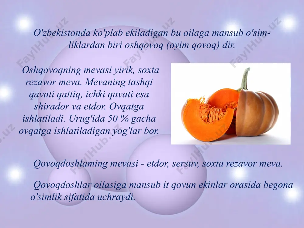 qovoqdoshlar oilasi - Page 5