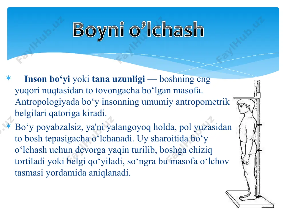 …………………………………………………………………………………………………. 2. моя конституция ………………………………………………………………………………………………………………… 3. форма моей спины……………………………………………………………………………………………………………… 4. моя грудная клетка…………………………………………………………………………………………………………….. 5. моя форма живота………………………………………………………………………………………………………………. 6. форма моих ног……………………………………………………………………………………………………………………. 7. мой свод стопы…………………………………………………………………………………………………………………….. 8. индекс стопы равен………………………………………………………………………………………………………………. к исследованию прилагается ……………………………………..стопа с расчетом число……………… подпись преподователя………………. skd259356sdc антропометрия студента _______________________________________________________________ учебная группа________________________________________________________________________ показатели измерений 1 год 2 год рост вес окружность грудной клетки (в покое) окружность грудной клетки (вдох) окружность грудной клетки (выдох) экскурсия грудной клетки окружность шеи ширина плеч окружность талии окружность правого плеча(покой) окружность правого плеча(напряжение) окружность левого плеча(покой) окружность левого плеча(напряжения) окружность правого бедра (покой) окружность правого бедра (напряжение) окружность левого бедра (покой) окружность левого бедра (напряжение) окружность правой голени окружность левой голени динамометрия правой кисти динамометрия левой кисти жироотложение лопатка жироотложение плечо жироотложение (боковая часть грудной клетки) жироотложение складка на животе жироотложение на бедре жироотложение под коленом жироотложение икроножной мышцы спирометрия