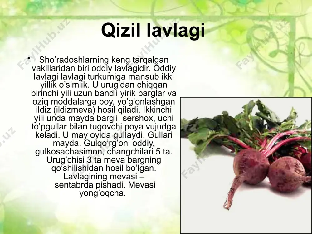 sho’radoshlar oilasi - Page 4