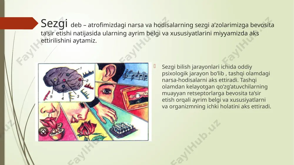 da joylashgan sezgilar, ya'ni proprioreseptiv sezgilar. sensabilizatsiya-analizatorlarning o’zaro munosabati va mash qilishi natijasida sezgi organlarining rivojlanishi hamda kuchayishidir. adaptasiya - yoxud moslashuv - sezgi organlari sezgirligining qo’zg’atuvchi ta'siri ostida o’zgarishi demakdir. adaptasiya (yoki moslashish) ikki turga bo’linadi: a) negativ adaptasiya; b) pozitiv adaptasiya. pozitiv adaptasiyada kuchsiz qo’zg’atuvchi ta’siri ostida sezgirlik oshadi. ko’rish analizatorida pozitiv adaptasiya, qorong’ulik adaptasiyasi deyiladi. negativ adaptasiya ikki xil bo’ladi: a) q o ’z g ’atuvchining davomiy ta'siridan sezgirlik yo’qoladi. masalan. qo’limizga yuk qo’yilsa sezamiz, ammo vaqt o’tishi bilan sezmay qolamiz. b) kuchli qo ’zg'atuvchi ta’siridan sezgirlikning susayishi. masalan, qorong’u xonadan birdaniga chiqib qolsak, avvaliga hech narsa ko’rmaymiz, vaqt o’tishi bilan sezgirlik pasayib biz normal ko’ramiz. image1.jpeg image2.jpeg image3.jpeg image4.jpeg image5.jpeg image6.jpeg /docprops/thumbnail.jpeg