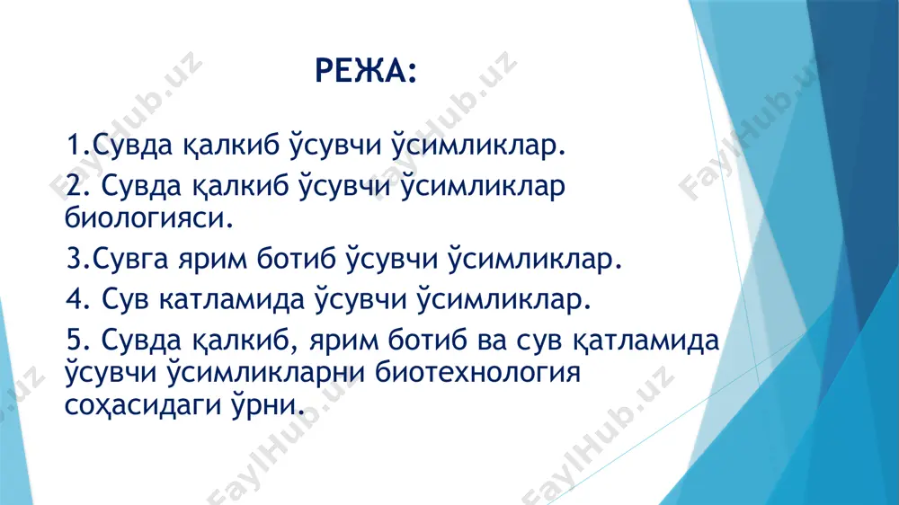 50-60 мг цинк 60-180 мг марганец 1,2 мг йод 0,713 мг цезий 0,88 мг бром бир кг қуруқ ряскада 0,0535 мг европий 0,013-0,245мг скандий олтин цирконий ванадий 4,8 мг титан 0,7 мг никель ряскадошлар биологияси ряскадошларнинг барча вакилларини «инглиз тилида - duckweeds дейилади. duck - сўзи сувга шўнғиш, сувда сузиш, ўрдак; weed — cўзи эса, ёввойи ўт маъносини билдиради. мазкур сўзнинг биринчи маъноси унинг ҳақиқий ўзбекча номини, иккинчи маъноси эса ўзига хос биологик ҳусусиятини билдиради. ряска — ўрдакўт мош уруғининг ярмидек келадиган баргсимон пояга эга сувда сузиб ўсувчи нозик ўсимликдир унинг тагида 3-5 см узунликдаги илдиздан иборат бўлган бу ўсимлик оддий ва кичик бўлишига қарамай, юқори гулли ўсимликлар синфига киритилган. гулли ўсимлик бў­лишига қарамасдан рясканинг гуллаши жуда кам учрайдиган ҳодиса ҳисобланади. ряска асосан куртаклаш йули билан кўпаяди. баргсимон поя асосининг ички томонида маҳсус қопчиқча бўлиб, ундан янги куртак- ёш ўсимликча ўсиб чиқади. анча вақтгача бу ёш ряска она ўсимлик билан …
