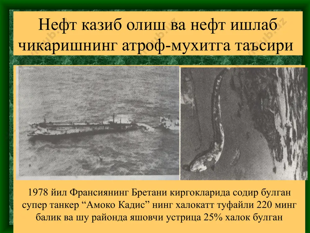 нефт ва нефтни кайта ишлашнинг экологик муаммолари - Page 4