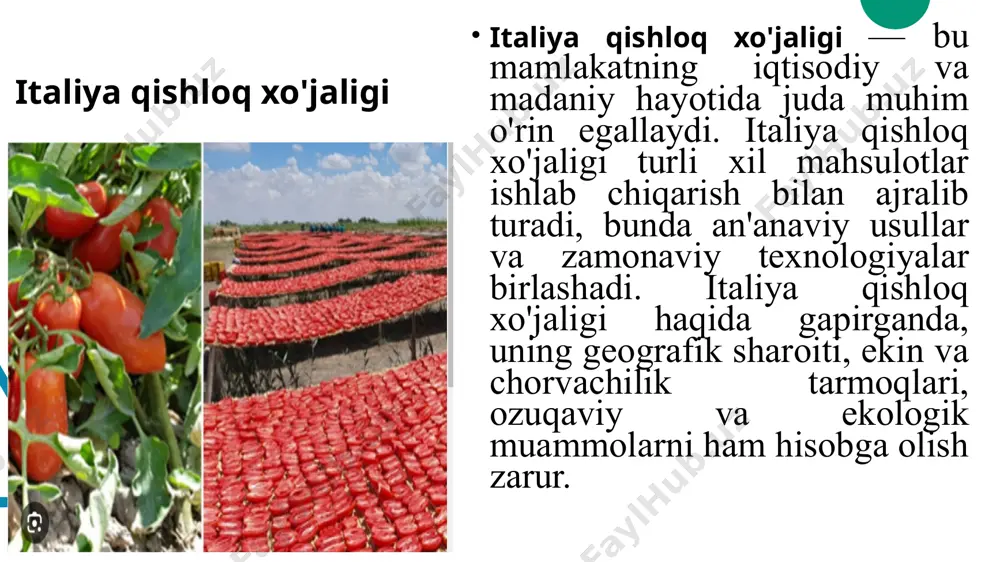 moyi: italiya dunyo bo'ylab zaytun moyi ishlab chiqarishda yetakchi. har yili 1,5 million tonna zaytun moyi ishlab chiqariladi. sharob: italiya yiliga 47 million dekalitr (4,7 milliard litr) sharob ishlab chiqaradi. pishloq: parmigiano reggiano, mozzarella va boshqa pishloqlar dunyoda juda mashhur. meva va sabzavotlar: pomidor, uzum, apelsin, sitrus mevalari va boshqalar. italiya qishloq xo'jaligida innovatsiyalar ekologik qishloq xo'jaligi: italiya ekologik qishloq xo'jaligida ham katta o'sish ko'rsatkichlarini ko'rsatmoqda. bu usulda ishlab chiqarilgan mahsulotlar global bozorlar uchun qimmatli hisoblanadi. vertikal qishloq xo'jaligi: vertikal fermalar, shuningdek, suvni tejash va barqaror energetika manbalaridan foydalanish tendentsiyalari kuchaymoqda. texnologiyalar: qishloq xo'jaligida yangi texnologiyalar, dronlar, robotlar, sun'iy intellekt va sensorlar yordamida dehqonchilik va ekinlarni nazorat qilish yaxshilanmoqda italiya qishloq xo'jaligining geografik va iqlimiy shartlari geografiya va iqlim: tog'lar va tepaliklar: italiyada alp tog'lari va apennin tog'lari qishloq xo'jaligi faoliyatiga ta'sir qiladi. iqlim: italiya hududida o'rtacha va subtropik iqlimlar mavjud. bu yerda o'sadigan ekinlar va mahsulotlar keng turdagi bo'lishi …
