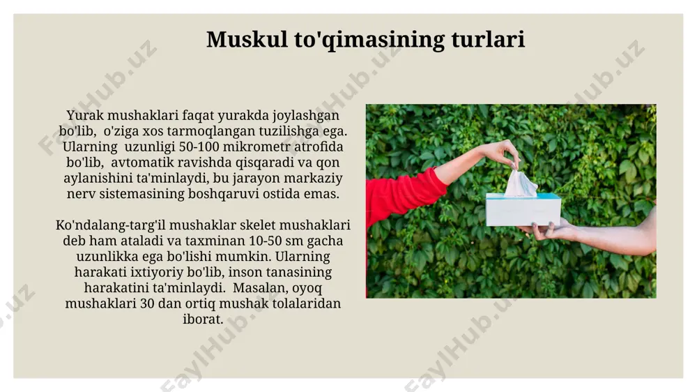, jarohatning og'irligiga bog'liq holda farq qiladi. odam tanasidagi muskul to'qimasining taxminan 40-50% ini tashkil etadi va taxminan 650 ta skelet mushaklari mavjud bo'lib, ular tananing turli qismlarida joylashgan, masalan, oyoq-qo'llarda, tananing markaziy qismida va boshda. e'tiboringiz uchun rahmat @taqdimot_robot image3.jpg image4.jpg image5.jpg image6.jpg image7.jpg image8.jpg image9.jpg image10.jpg image11.jpg image12.jpg image13.jpg image14.jpg image15.jpg image16.jpg image17.jpg image18.jpg image19.jpg