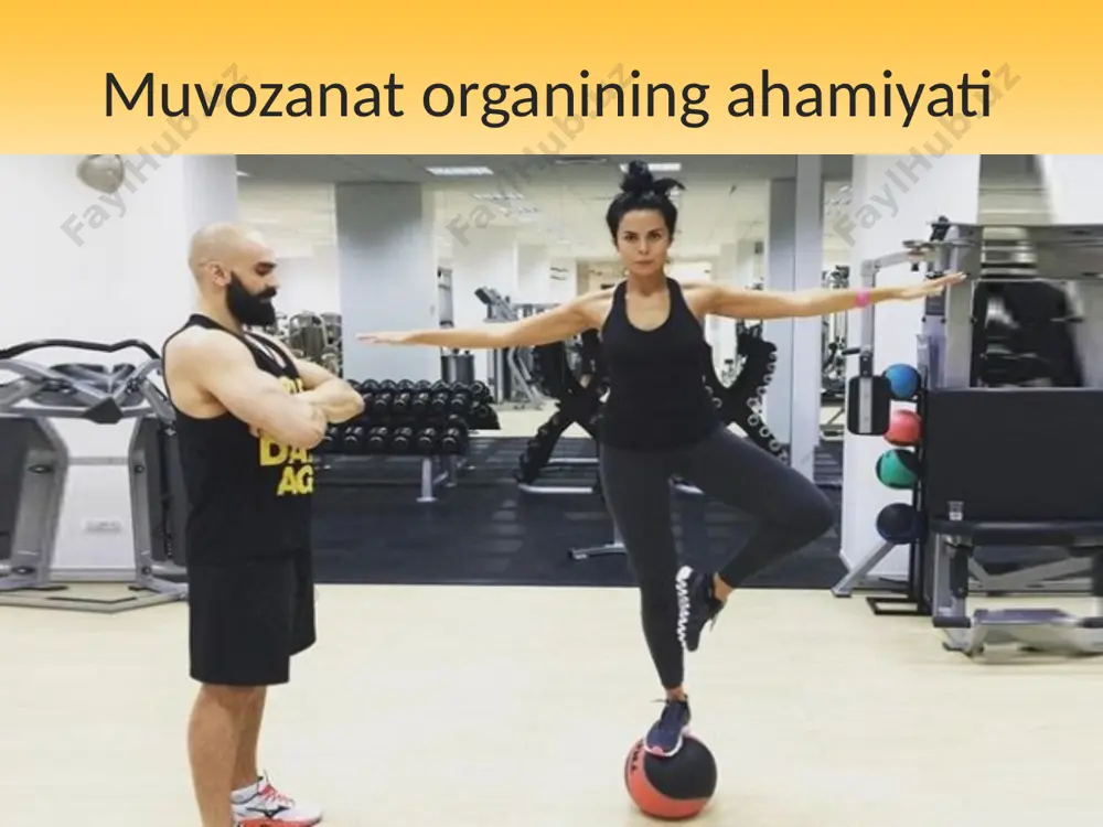 agi po‘stloqosti muvozanat markaziga, undan miyachaga va bosh miya yarimsharlari po‘stlog‘idagi muvozanat markaziga boradi. muvozanat organining ishi. odam tanasining turli xil harakatlarida vestibular analizator retseptorlari qo‘zg‘aladi. harakat tezligi qancha yuqori bo‘lsa, retseptorlar shuncha kuchli qo‘zg‘aladi. shuni ta’kidlash kerakki, ichki quloqning yarimdoira kanalchalari va xaltasimon tuzilmalardagi retseptorlarning har qaysisi ma’lum bir harakatlarda qo‘zg‘alish xususiyatiga ega. odamning muvozanat organi normal rivojlangan va sog‘lom bo‘lsa, uning turli xil murakkab harakatlari, fazoda turli holatlarda bo‘lishi noxush hollarni yuzaga keltirmaydi. bu organ yaxshi chiniqtirilgan bo‘lsa, odam har qanday silkinish, tebranish, aylanish harakatlariga va samolyotda uchishga, suv kemalarida yurishga bardoshli bo‘ladi. muvozanat organi funksiyasining buzilishi. muvozanat organining funksiyasi har xil kasalliklar, shikastlanish hamda bu organning yoshlikdan chiniqtirilmaganligi tufayli buziladi. odam harakati biroz tezlashganda, aylanganda, tebranganda, transportda yurganda bosh aylanishi, ko‘z tinishi, yurak urishi tezlashishi, qon bosimi pasayishi, rang oqarishi, ko‘ngil aynishi va qusishi, ba’zan esa hatto hushidan ketishi mumkin. vestibular analizatorni chiniqtirish tadbirlarini yoshlikdan boshlash zarur. …