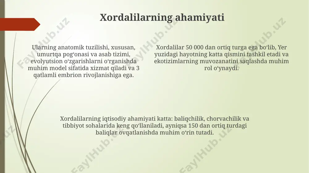 illigi, masalan, kirpi dan filgacha, kuzatiladi. balıqlar (pisces) ularning koʻpchiligi suyakli baliqlar (osteichthyes) sinfiga kiradi va 96% dan ortiq suv hayotini tashkil qiladi. baliqlarning 30000 dan ortiq turlari mavjud boʻlib, ular suv muhitining turli xil sharoitlariga moslashgan. baliqlarning nafas olish tizimi gill yordamida amalga oshiriladi va suvdan erigan kislorodni qonga oʻtkazadi. xordalilarning ekologiyasi suv xordalilarining 70% ga yaqini baliqlar sinfiga mansub boʻlib, ularning turli xil turlari turli chuqurliklarda, harorat va shoʻrlik sharoitida yashaydi, umumiy biomassasi suv ekosistemalarida asosiy rol oʻynaydi. xordalilarning ekologik ahamiyati juda katta: ular oziq-ovqat zanjiri tarkibida muhim oʻrin egallaydi, ba’zilari parazitlar, boshqalari esa polinatori yoki detrivorlar sifatida faoliyat olib borib, ekosistemaning muvozanatini saqlashga hissa qoʻshadilar. xordalilarning 50% dan ortigʻi suv muhitida, qolganlari esa quruqlikda yoki ikkala muhitda yashaydi, ularning populyatsiya zichligi turlicha boʻlib, 1 kv.km ga 1000 dan millionlab individuumgacha yetishi mumkin. e'tiboringiz uchun rahmat @taqdimot_robot