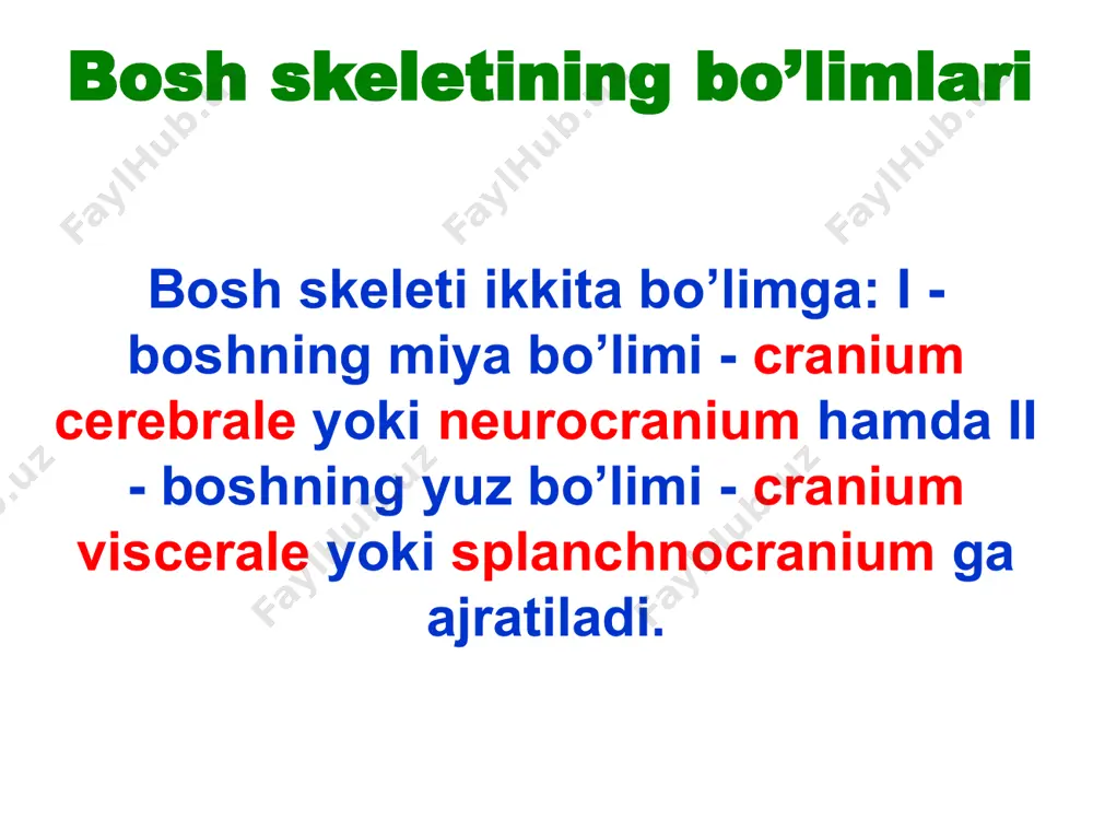 boshskeleti (miyaqutisi) - Page 2