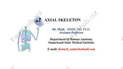 axial skeleton — PPTX