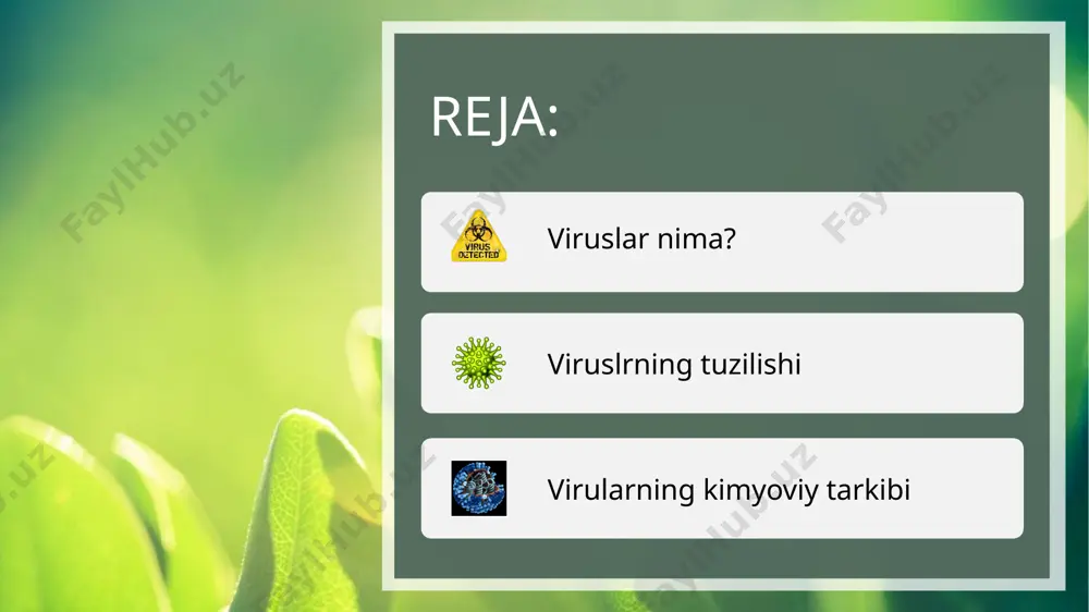 at baʼzi bakteriofaglar bundan mustasno, ularni lab. sharoitida koʻpaytirish mumkinligi isbotlangan. laboratoriyada oʻrganish imkoniyati boʻlgan barcha viruslar har xil fizik usullar bilan birmuncha aniq "oʻlchangan". ularning diametri 10—300 mkm. tayoqcha, shar yoki ipsimon shaklda boʻladi. oʻsimlik va hayvonlarda kasallik qoʻzgʻatuvchi koʻpgina viruslar yumaloq shaklda. bugʻdoy va beda mozaikasi viruslar tashqi koʻrinishi bilan bakteriya tayoqchasi yoki oʻqqa oʻxshaydi. viruslar tuzilishini elektron mikroskop va rentgenda tadqiq qilish orqali baʼzi nozik tarkibiy qismlari aniqlangan. ularning hammasida ichki modda, asosan nuklein kislotadan iborat boʻlib, u oqsil qobiq bilan oʻralgan. bir necha tur viruslarning kimyoviy tarkibi oʻrganilgan, xolos. vaksinalar viruslarning tuzilishi ham, chamasi oddiy bakteriyalarniki kabi murakkab. uning tarkibida nukleoproteidlar, uglevodlar va lipidlar bor. nuklein kislotasi dezvksiriboza shaklida, lipoidlar guruhi esa xolesterol, fosfolipid va neytral moy koʻrinishida uchraydi. fitopatogen viruslar tarkibida ribonuklein kislota (rnk), hayvon va odamlarda kasallik qoʻzgʻatuvchi viruslarda esa rnk yoki dnk (ribonuklein kislota) (dezoksiribonuklein kislota) bor. baʼzi viruslar tozalangan preparatlar holida olinib, …