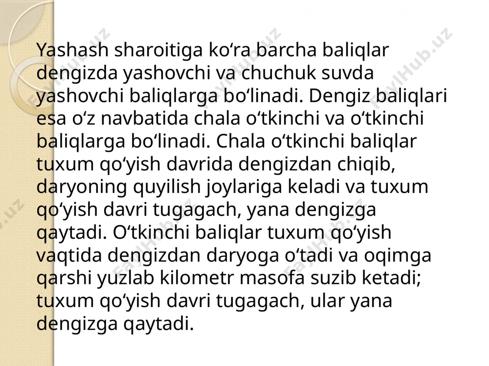 asimonlar (pleuronecti-formes) — suyakli baliqlar turkumi. voyaga yetgan davrida tanasi asimmetrik siqilgan, yapaloq boʻladi. uz. 6 sm dan 4,7 m gacha, vazni bir necha g dan 330 kg gacha. jabra pardasi 6—7 nurli. suzgich pufagi boʻlmaydi, suzgich qanotlarida tikanlari, odatda, rivojlanmagan, qorin suzgichlari 5—6 nurli, tangachalari sikloid yoki ktenoid tipda. ikkala koʻzi ham boshining bir tomonida; bosh suyagi, juft suzgichlari, ogʻzi, nerv va ichki organlari asimmetrik tuzilgan. 7 oila (jumladan, kambalalar, botussimonlar, dengiz tillari va b.), 500 ga yaqin turni oʻz ichiga oladi. arktikadan subantarktikagacha boʻlgan barcha dengizlarda tarqalgan. dengizning sayoz qismida suv tubida yashaydi. zoobentos bilan oziqlanadi. baliq oziq-ovqatning eng muhim elementi hisoblandi. shu sababli jahonda ovlanadigan baliqning 75-80 foizi odamlar ovqatlanishi uchun sarflanadi, 20-25 foizi esa qayta ishlanib, uni qo’shimcha ozuqaga, baliq moyiga aylantiriladi va chorva ozuqachi yoki farmatsevtika sanoatida ishlatiladi.har yilda ovlanadigan baliq 100 mln.t.ga yetadi. dunyoda aholi jon boshiga 17-18 kg baliq to’g’ri keladi. yaponiyada bu …