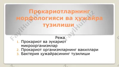 прокариотларнинг морфологияси ва ҳужайра тузилиши — PPTX