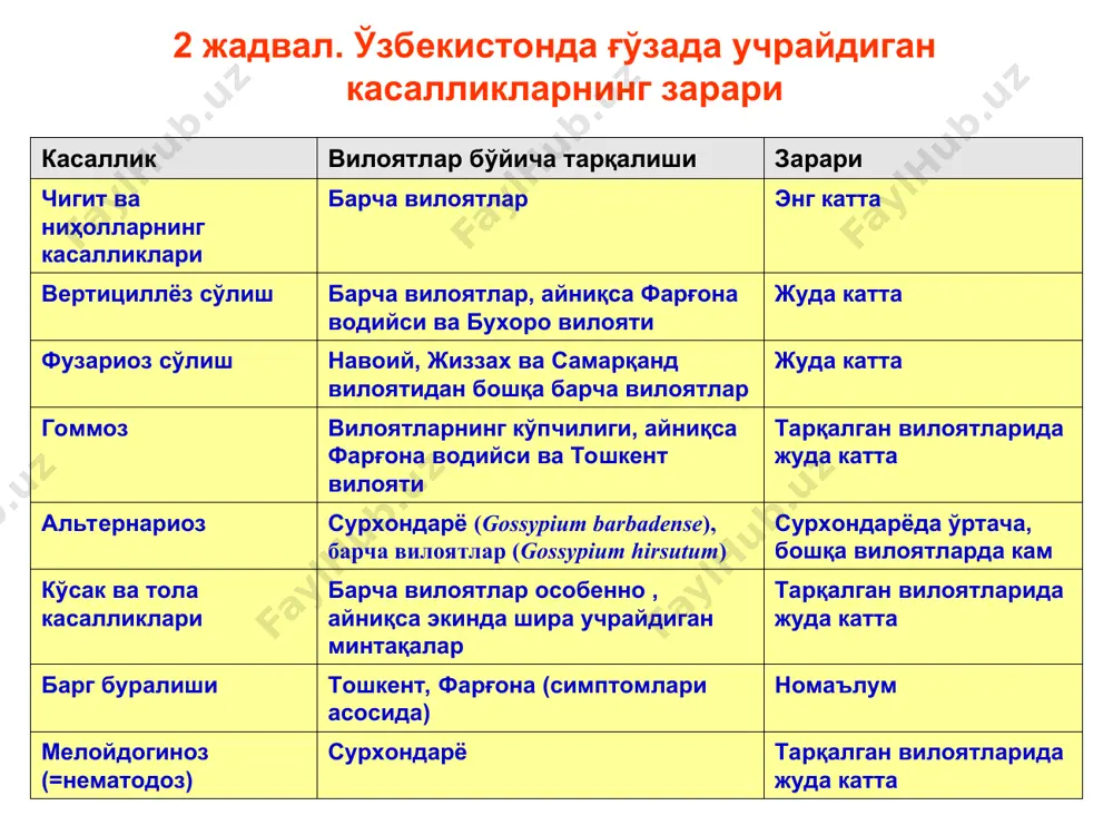 елади. қишлоқ хўжалик фитопатологияси ғўза касалликлари ниҳол касалликлари мажмуаси 3. тупроғи замбуруғлар билан жуда кучли зарарланган далалар, об-ҳаво ноқулай келган йиллари, баъзида 2 ва 3 марталаб қисман ёки бутунлай қайта экилади. мисол учун 1993 йил самарқанд вилоятининг бир қатор хўжаликларида деярли 80% майдон 3 мартагача бузиб экилган. бунинг оқибати: ортиқча уруғлик чигит сарфи; сифати пастроқ чигит экишга мажбур бўлиш; энг қулай экиш муддатларини қочириш, кеч экилган ўсимликлар ўсиш ва ривожланишдан орқада қолиши, ҳосилни кам тўплаши ва ҳ.; фермер ва деҳқонлар юмушларининг ҳажми кўпайиши, ёнилғи ортиқча сарфланиши. ниҳол касалликларининг хавфини яққол кўрсатувчи мисол тариқасида ақш ўсимликлар ҳимояси соҳа мутахассисларининг 25 йиллик кузатувлари натижаларини келтирамиз (3 жадвал) 3 жадвал. ақшда ғўза ҳосили асосий касалликлар таъсирида нобуд бўлиши (watkins, 1981 *) * маълумотлар ўртача 25 йиллик (1953-1977) текширувлар асосида келтирилган. ** 13,10% = 430,929 тонна пахта толаси. касалликлар 1 йилда нобуд бўлган ҳосил, % нобуд бўлган ҳосилнинг касаллик турлари бўйича нисбий тақсимланиши, % …