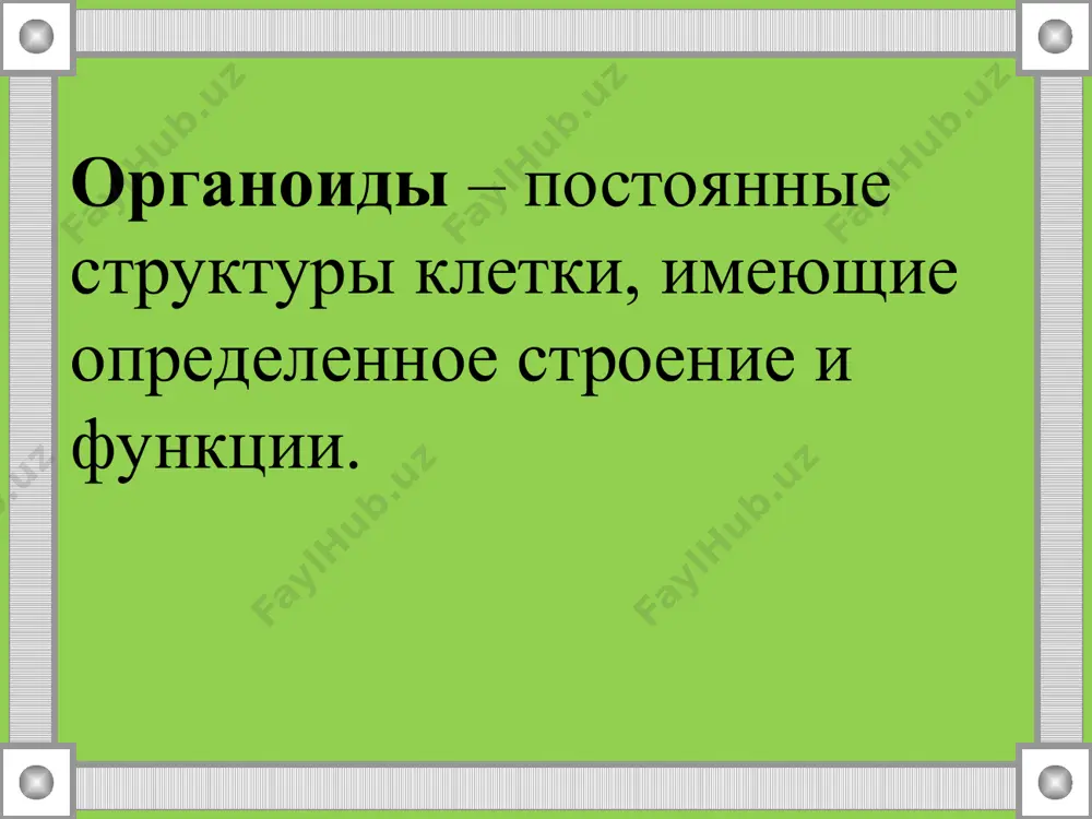 структура растительной клетки - Page 5