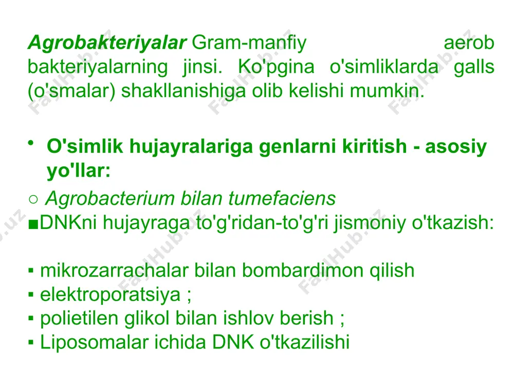 lishiga sabab bo’laolmaydilar; balki ular hosil bo’lgan shish to’qimalarida sintez bo’ladilar. shish to’qimalar bir necha kunlik bo’lganlaridan keyingina opinlar sintezini boshlaydilar, masalan, kolanxoeda opinlar sintezi, shish induksiyasi boshlangan kundan 7-kunda boshlanadi. opinlar aminokislotalar, har xil ketokislotalar va shakarlarni hosilalaridir. ularyangi tipdagi biologik faol moddalar hisoblanadilar va faqatgina o’simliklarni koronchato’y galli to’qimalarida uchraydilar, shuning uchun ham ularni koronchato’ygallarni biokimyoviy marxori sifatida qarash mumkin. opinlar agrobakteriyalar uchun ozuqa modda hisoblanadilar, ammo shish to’qimalar opinlar steril sharoitda agrobakteriyalar bo’lmagan sharoitda ham sintez qilaveradilar. opinlarni uch tipi ma’lum: nopalin, aktopin va agropin. agrobakteriyalarni bir shtammi oktopinsintez qiluvchi shishlarni induksiya qilsa, boshqa shtammi nopalinsintez qiluvchisini induksiya qiladi. shunday qilib, agrobakteriyalar yordamida induksiya bo’luvchi «moslashgan» va shish to’qimalarni birinchi umumiy xususiyati, gormon sintez qilish bilan bog’liq bo’lgan gormonga muhtojsizlikdir. galli shishlarda bunday qobiliyat o’simliklarga bakteriyalarni begona genlarini kiritilishi oqibatida kelib chiqadi. kimyoviy («moslashgan») shishlar hujayralarida bu xususiyat gormonlar sintezi uchun javobgar genlarni depressiyasi bilan bog’liq bo’lsa …