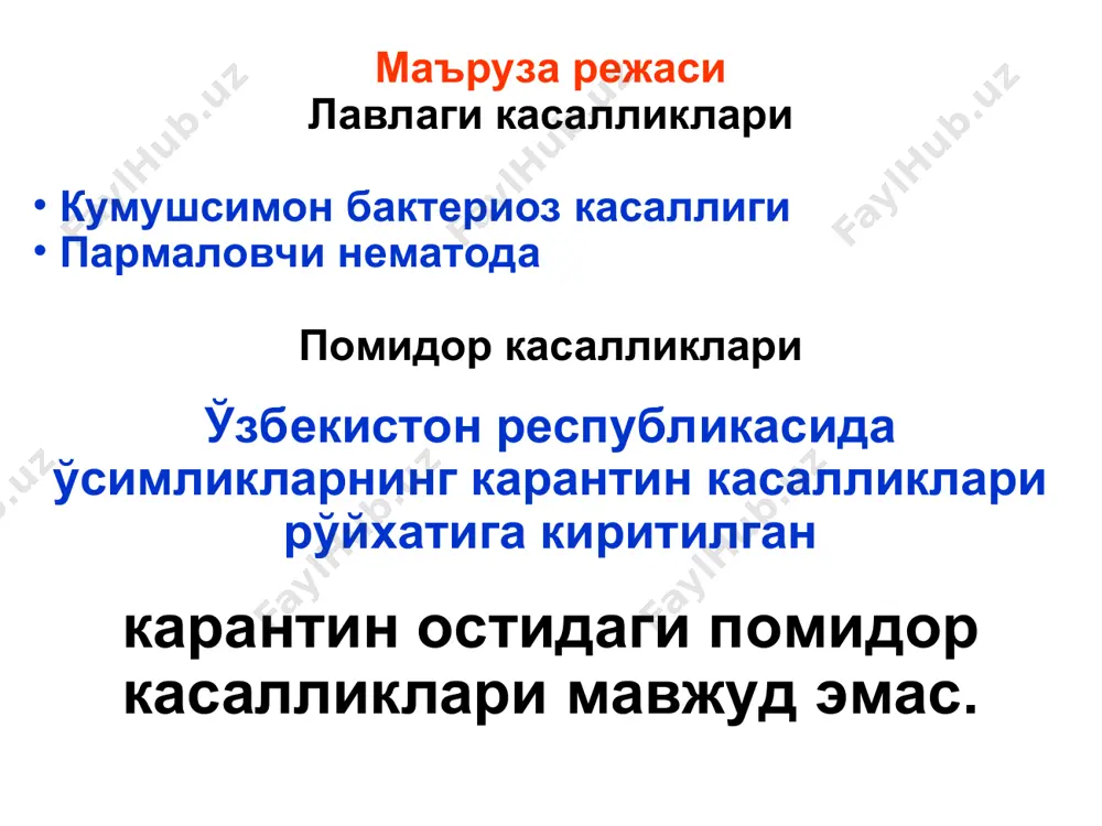 змевасининг остки қисми чирийди. помидор ва лавлагининг карантин касалликлари лавлагининг кумушсимон касаллиги касаллик белгилари. касалликнинг бу белгилари ўсимликларда гулбандлар ҳосил бўлганида намоён бўлади. гулёнбарглар ва гул дастачаларида ҳам кумушсимон доғлар ҳосил бўлади. зарарланган ўсимликлар касалликнинг биринчи белгилари кўринганидан кейин бир неча кун ёки бир неча ҳафта орасида нобуд бўлади. помидор ва лавлагининг карантин касалликлари лавлагининг кумушсимон касаллиги касаллик тарқалиши. касаллик асосан лавлаги уруғлари билан ҳамда илдизмеваларни кесиб олиш жараёнида пичоқ орқали тарқалади. қуруқ ўсимлик қолдиқларида патоген ҳаётчанлигини 3 йилдан кўпроқ сақлайди. бу касаллик туфайли лавлаги ҳосили 75% га пасайиши мумкин. помидор ва лавлагининг карантин касалликлари лавлагининг кумушсимон касаллиги карантин чора-тадбирлари. селекция ва илмий-тадқиқот мақсадида англиядан олиб келинган картошка уруғларини фақат интродукцион-карантин иссиқхоналари ёки кўчатзорида экиб текшириш; картошканинг хўжалик уруғларини экишдан олдин бактерицид (стрептомицин ёки эритромицин, 200-400 мг/л) билан дорилаш уларни батериядан тўла тозалайди. лавлагининг пармаловчи нематодаси лавлагининг пармаловчи нематодасининг таксономияси: kingdom: animalia (ҳайвонлар) phylum: nemathelminthes (нематҳелминтес – думалоқ қуртлар) class: …