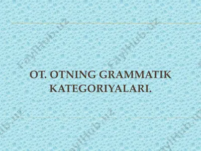 grammatik kategoriyalar — PDF