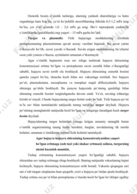tuzi yoki shakar eritmasi) solinsa, turgorning aksini kuzatish mumkin. tashqi eritmaning konsentrasiyasi yuqori bo’lganligi sababli, hujayra shirasidan suv tashqi eritmaga chiqa boshlaydi. buning natijasida vakuolaning hajmi kichrayib, hujayra shirasining konsentrasiyasi ortib boradi. vakuola qisqargan sari uni o’rab turgan sitoplazma ham qisqarib, oxiri u hujayra po’stidan ajrala boshlaydi. tashqi eritma esa po’st bilan protoplazma o’rtasida hosil bo’lgan bo’shliqni egallay boshlaydi. protoplazma qisqarib, hujayra po’stidan ajralishiga plazmoliz deyiladi. plazmolizlangan hujayra yana toza suvga solinsa, u yana suvni shimib olib turgor holatiga qaytishi mumkin. bu jarayonga deplazmoliz deyiladi. hujayralarda sodir bo’ladigan plazmoliz ikki xil shaklda uchrashi mumkin. dastlab protoplazma hujayra burchaklaridan ajrala boshlaydi. so’ngra hamma devorlaridan ajraladi. lekin ancha vaqtgacha hujayraning ayrim joylarida protoplast po’st bilan birikkan holda qoladi va botiq chegarali shaklga kiradi. bunga botiq formali plazmoliz deyiladi. agar protoplast hujayra po’stidan to’la ajralib, to’planib qolsa, dumaloq shaklga kiradi, plazmolizning bunday formasiga qavariq plazmoliz deyiladi. umuman o’simliklar hujayra shirasining osmotik bosimi ular …