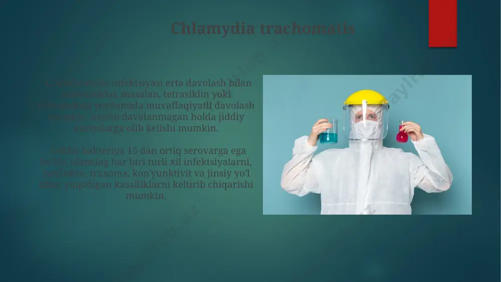 pnevmoniya yoki teri infektsiyalariga sabab boʻladi. qo'ziqorinlar candida jinsiga mansub qo'ziqorinlar, ayniqsa, immuniteti pasaygan bemorlarda og'ir invaziv infektsiyalarni, shu jumladan, kandidatemiya va kandidozni keltirib chiqarishi mumkin. qo'ziqorinlarning 100 dan ortiq turi odamlarda mikozlar deb ataluvchi turli xil infektsion kasalliklarni keltirib chiqarishi mumkin, bu esa terining, tirnoqlarning va sochlarning shikastlanishiga olib keladi. xlamidiyalar xlamidiyalar obligat hujayra ichidagi parazitlar boʻlib, ularning 15 dan ortiq turi insonlarda kasalliklarni keltirib chiqarishi mumkin, jumladan, nafas olish yoʻllarining infektsiyalari va jinsiy yoʻl bilan yuqadigan infektsiyalar. chlamydia trachomatis, jinsiy yoʻl bilan yuqadigan infektsiyalarning eng keng tarqalgan sababchisi hisoblanadi va yallig'lanish jarayonlarini, 10-30% hollarda esa bepushtlikka olib kelishi mumkin. spiroxetalar spiroxetalarni mikroskopik tekshiruv orqali aniqlash qiyin bo'lishi mumkin, chunki ularning kichik o'lchamlari va nozik tuzilishi aniqlashni murakkablashtiradi, shuning uchun maxsus bo'yash usullaridan foydalaniladi. lyme kasalligi va sifilis kabi bir qancha jiddiy infeksiyon kasalliklarining asosiy etiologik agenti sifatida spiroxetalar inson salomatligiga katta xavf soladi. gelmintlar gelmint infektsiyalarining oldini olishda …