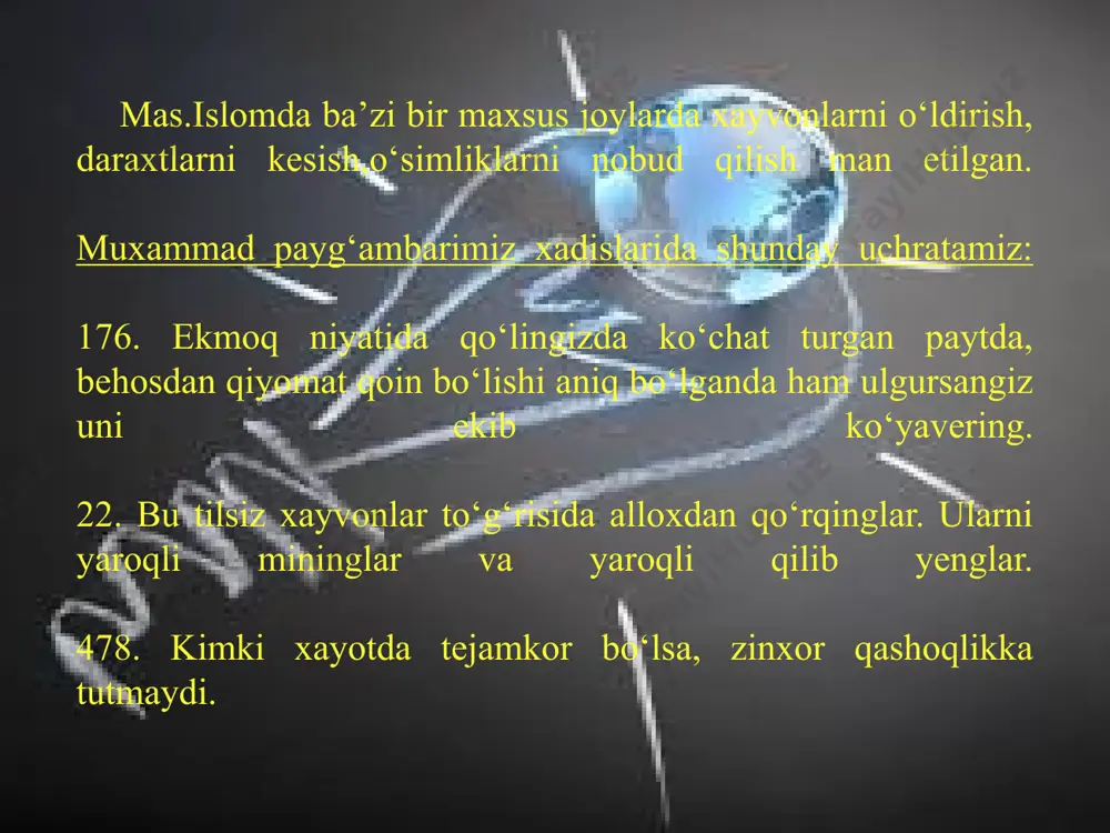 ldi. populyatsiya ekologiyasi 1930 yilda ekologiyaning yangi tarmog‘i ingliz olimi elton tomonidan rivojlantirildi. www.arxiv.uz u ayrim organizmlarni o‘rganishdan populyatsiyalarni o‘rganishda o‘tish kerakligini aytdi, chunki moslanish protsesslari populyatsiyada bo‘ladi. populyatsion ekologiyaning rivojlanishida seversov, shvars, naumov, viktorov, rabotnov va uranovlar katta rol o‘ynaydilar 40 yillarda tabiiy sistemalarni o‘rganish asosida yangi yo‘nalishlar kelib chiqdi. 1935 yilda fanga "ekosistema" terminini ingliz tensli kirgizdi. 1942 yilda esa v.n.sukachev "biotsenoz"terminini berdi. biotsenoz xaqida ta’limotni ilgari surdilar. bu tushunchalarda organizmlar va abiotik muxit orasida bog‘lanishlarni ifodalaydi va modda aylanishi to‘g‘risida aytilgan. www.arxiv.uz o‘zbekistonda ekologiya fanining qisqacha rivojlanish tarixi. yuqorida aytib o‘tganimiz kabi, bizning buyuk allomalarimiz tabiat, tirik organizimlar va ularning tashqi muxit bilan o‘zaro aloqasiga doir masalalarga to‘xtalganlar. o‘z fa qoshidagi botanika, zoologiya va parazitologiya instituti olimlari o‘simlik va xayvonlar ekologiyasiga bog‘langan ishlar olib borishgan, xozirda ham bu ishlar olib borilmoqda. o‘rta osiyo o‘simliklar olamini o‘rganishda-m.s.popov akademiklar: k.p.korovin, k.z.zokirov, a.m.muzaffarov, i.i.granitov, s.saxobidinov, a.i.vvedinskiy kabi olimlarning nomi bilan …