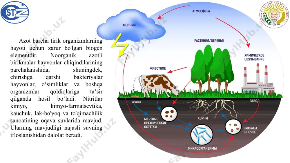 spektrofotometriya tahlilasoslari - Page 5