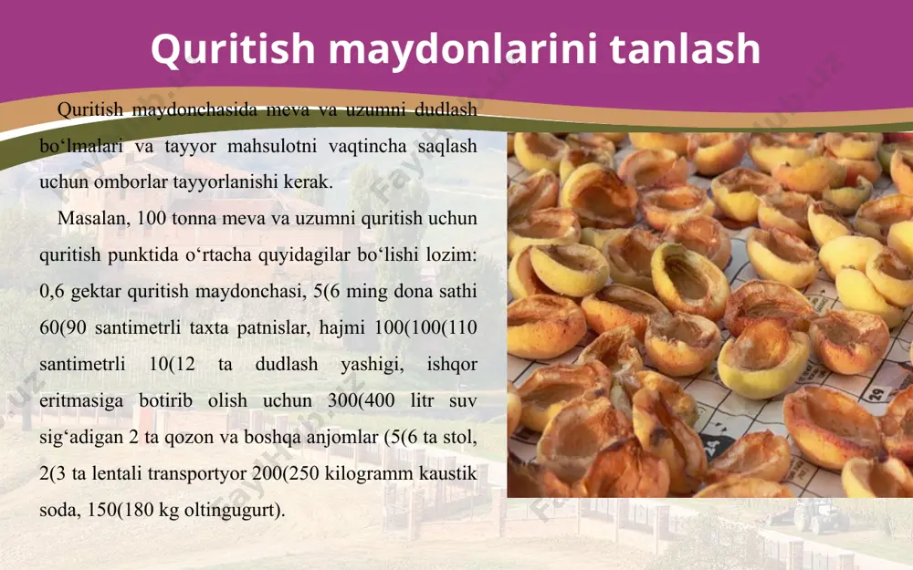 tezda oksidlanib, sulüfatga aylanadi, modda almashinuvida qatnashadi va organizmdan tezda chiqib ketadi. ammo, me’yo-ridan ortiq sulüfit kislota xavfli. u markaziy asab tizimiga ta’sir etib, inson organizmini zaharlaydi. shu sababli, quritilgan mahsulotda sulfit angidrid 0,01 foizdan oshmasligi ke-rak. oq, och pushti rangli meva va uzumlar padnislarga solinib, oltingugurt gazi bilan dudlanadi. quritish uchun ishlatiladigan anjom va aslahalar. xom ashyoni tuzukroq dudlash uchun uni yupqa qatlam holida yoyib qo‘yiladi. shunda oltingugurt tutuni mevalarga yaxshi ta’sir etadi, ularning rangi och bo‘ladi. xom ashyo dudlash qutilarida yoki maxsus staöionar xonalarda dudlanadi. qutilar fanerdan yasaladi. ularning tag sathi nisbatan kattaroq, balandligi 12–14 ta padnis sig‘adigan bo‘ladi. oltingugurt biroz chuqurroq joyda yoki maxsus tayyorlangan idishda yondiriladi. meva va uzumlarni dudlash uchun tarkibida 2 foizdan oshmagan begona aralashma-lar bo‘lgan donador oltingugurt ishlatiladi. oltingugurt tarki-bida margimush bo‘lmasligi lozim. o‘rta hisobda dudlash qutisining har kub metriga 250 gramm oltingugurt sarflanadi. dudlash 30–120 daqiqa davom etadi. ammo xalqaro standartlarda dudlash …