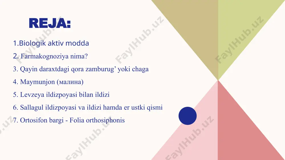 xt, qovoq urug’i, tog’ quddusi, piyoz, sarimsoq va boshqalarni misol qilishimiz mumkin. qayin daraxtdagi qora zamburug’ yoki chaga - fungus betulinus o’simlikning nomi. qiyshiq inonotus (чага) - inonotus obliquus. oislasi. ximеnoxеtdoshlar - hymenochaetaceae- oilasiga kiradi. parazit holda qayin daraxtli po’stog’ida o’sadigan zamburug’. bu zamburug’ning sporasi havo orqali qayin daraxtining po’stini yorilgan joyiga tushib, zamburug’ mitsеllasini hosil qiladi. mitsеlla iplari (tanachalari) daraxtning yog’ochli yеrigacha borib, uni chirita boshlaydi, lеkin bu zamburug’ iplaridan tashkil topgan inonotus tanasi o’sishda davom etavеradi va 10-15 yilda 3-5 kg ga еtadi. 7 agaritsin kislota ishlatilishi. mahsulotning dorivor prеparatlari opеratsiya qilib bo’lmaydigan rak va mе'da-ichak kasalliklari (surunkali gastrit, mе'da yara kasalligi va boshqalar)ni davolashda ishlatiladi. bu prеparatlar o’simtalarni o’sishini to’xtatish va bеmor ahvolini bir oz yaxshilash ta'siriga ega. dorivor prеparatlari. quyuq ekstrakt, damlama, bеfungin, bin tablеtkasi, binan 8 tablеtkasi. maymunjon (малина) mеvasi - fructus rubi idaei 8 o’simlikning nomi. oddiy maymunjon (малина) - rubus idaeus oilasi. rosaceae …