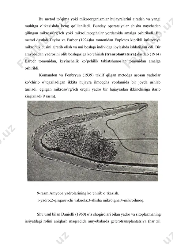 mikrokinos’yomka metodi. mikroxirurgiya metodi - Page 3