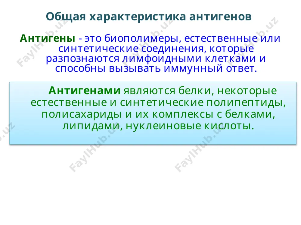 ликопротеидов, которые содержат гидрофильные группы (гемагглютинин (h) и нейраминидаза (n) вируса гриппа эритроцитарные антигены в организме есть вещества и ткани, которые в эмбриональном периоде развития не контактировали с лимфоидной тканью, поэтому иммунная система “не знает” об их существовании. при определенных патологических процессах эти вещества попадают в кровь, и иммунная система реагирует на них как на чужеродные. такие вещества являются антигенными для собственного организма и називаются аутоантигенами. хрусталик глаза, щитовидная железа, мозговая ткань, сперматозоиды аутоиммунные реакции аутиммунный процесс - состояние, при котором появляются антитела или сенсибилизированные лимфоциты к антигенам собственных тканей. аутоиммунными заболеваниями считают такие патологические процессы, при которых аутоиммунные peaкции играют основную патогенетическую роль. аутоантитела можна обнаружить у здоровых людей, например, против ядер клеток эпителия щитовидной железы, миоглобина, тиреоглобулина, клеток гладкой мускулатуры и др. количество аутоантител увеличивается с возрастом, причом у женщин в большей степени, чем у мужчин. при органоспецифических обнаруживают аутоантитела специфические к антигену соответствующего органа. к таким заболеваниям …