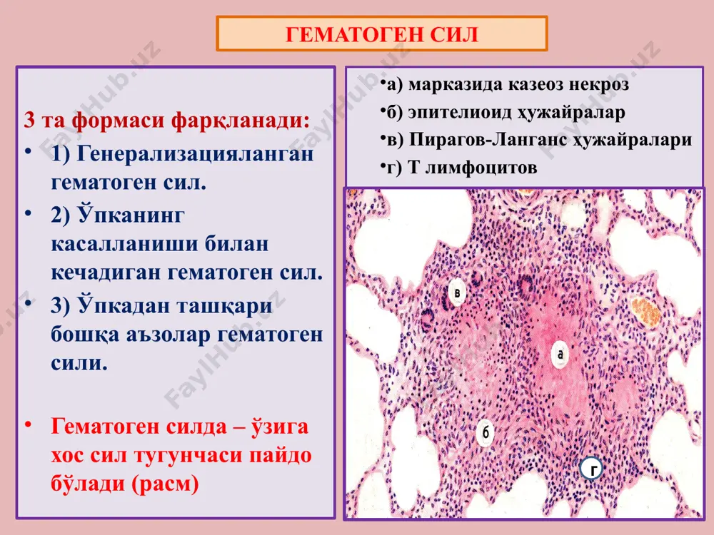 сил - Page 5