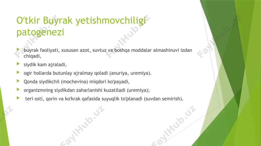 buyrak yetishmovchiligi - Page 4