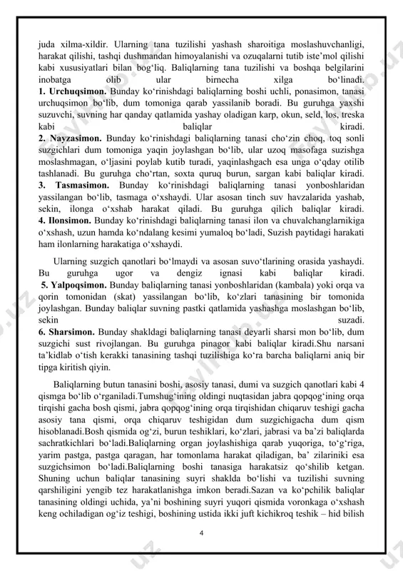 shiga ko‘ra barcha baliqlarni aniq bir tipga kiritish qiyin. baliqlarning butun tanasini boshi, asosiy tanasi, dumi va suzgich qanotlari kabi 4 qismga bo‘lib o‘rganiladi.tumshug‘ining oldingi nuqtasidan jabra qopqog‘ining orqa tirqishi gacha bosh qismi, jabra qopqog‘ining orqa tirqishidan chiqaruv teshigi gacha asosiy tana qismi, orqa chiqaruv teshigidan dum suzgichigacha dum qism hisoblanadi.bosh qismida og‘zi, burun teshiklari, ko‘zlari, jabrasi va ba’zi baliqlarda sachratkichlari bo‘ladi.baliqlarning organ joylashishiga qarab yuqoriga, to‘g‘riga, yarim pastga, pastga qaragan, har tomonlama harakat qiladigan, ba’ zilariniki esa suzgichsimon bo‘ladi.baliqlarning boshi tanasiga harakatsiz qo‘shilib ketgan. shuning uchun baliqlar tanasining suyri shaklda bo‘lishi va tuzilishi suvning qarshiligini yengib tez harakatlanishga imkon beradi.sazan va ko‘pchilik baliqlar tanasining oldingi uchida, ya’ni boshining suyri yuqori qismida voronkaga o‘xshash keng ochiladigan og‘iz teshigi, boshining ustida ikki juft kichikroq teshik – hid bilish organlariga ochiladigan burun teshiklari ko‘rinib turadi. boshining ikki yon tomonida ikkita yirik qovoqsiz ko‘zi bor. suzgich qanotlari. baliqlar yon tomonlari yassilangan tanasi va …