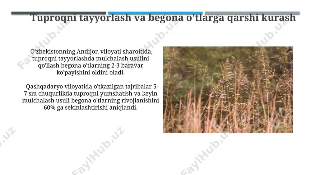a olib kelishini ko'rsatdi. mexanik usullar: o'rim, sug'orish va boshqalar begona o'tlarni qo'lda yoki maxsus vositalar yordamida terish, ayniqsa, 100 m² lik maydonlarda, zarqon tumanidagi bog'larda samarali natija beradi va kimyoviy usullarga nisbatan atrof-muhitga zararsizdir. mekanik o'rim usullari, masalan, 5 gektar maydonda qo'llaniladigan diskli o'roqlar, o'simlik qoldiqlarini 10 sm chuqurlikda maydalab, keyingi o'sishini 70% ga kamaytirishi mumkin. o'simliklarni himoya qilish choralarini qo'llash farg'ona vodiysida paxta dalalarida 20 dan ortiq begona o't turlarining tarqalishini nazorat qilish uchun, integrirovlashgan o'simlik himoyasi strategiyasini, shu jumladan, mexanik usullarni (o'rish) va biologik vositalarni qo'llash kerak. toshkent shahridagi bog'larda, 10-15 kun oralig'ida, begona o'tlarning rivojlanishini to'xtatish uchun organik mulchalash (masalan, quruq barglar yoki talaş) usuli samarali bo'lib, bu tuproqdagi namlikni saqlashga ham yordam beradi. kimyoviy usullar: gerbitsidlar va ularning qo'llanilishi ўзбекистонда гербицидлардан фойдаланишда ҳимоя воситаларига риоя қилиш жуда муҳим; нотўғри қўлланилганда, 1000 гектардан ортиқ ер майдони зарарланиши ва экотизимга салбий таъсир кўрсатиши мумкин. селектив гербицидлар, масалан, …