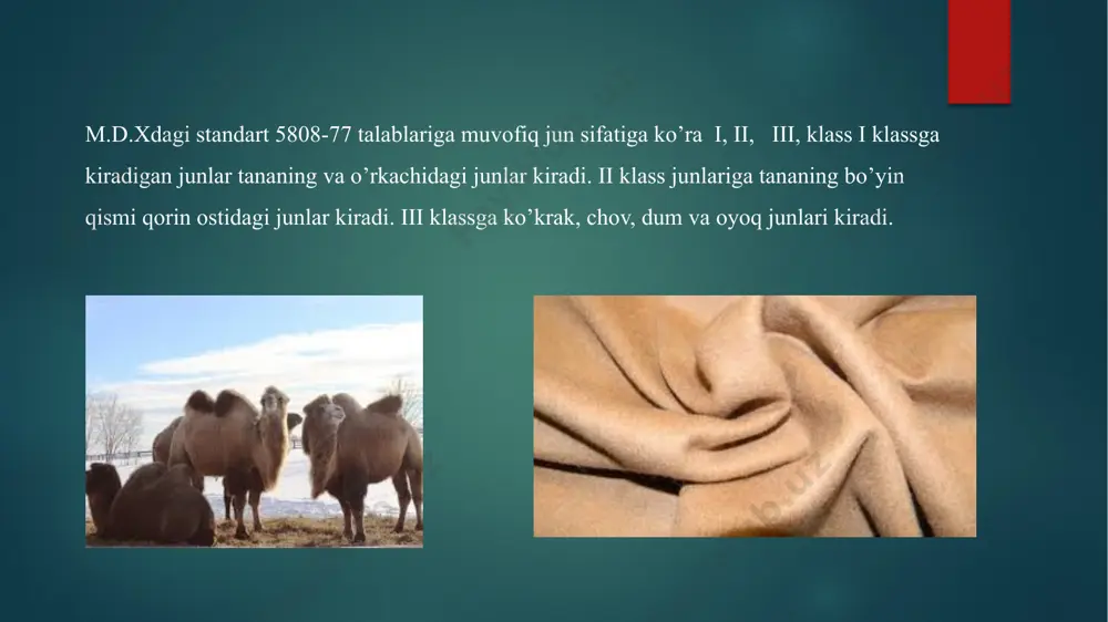 semizlik darajasi har xil bo’lgan tuyalarning jun mahsuldorligi - Page 5