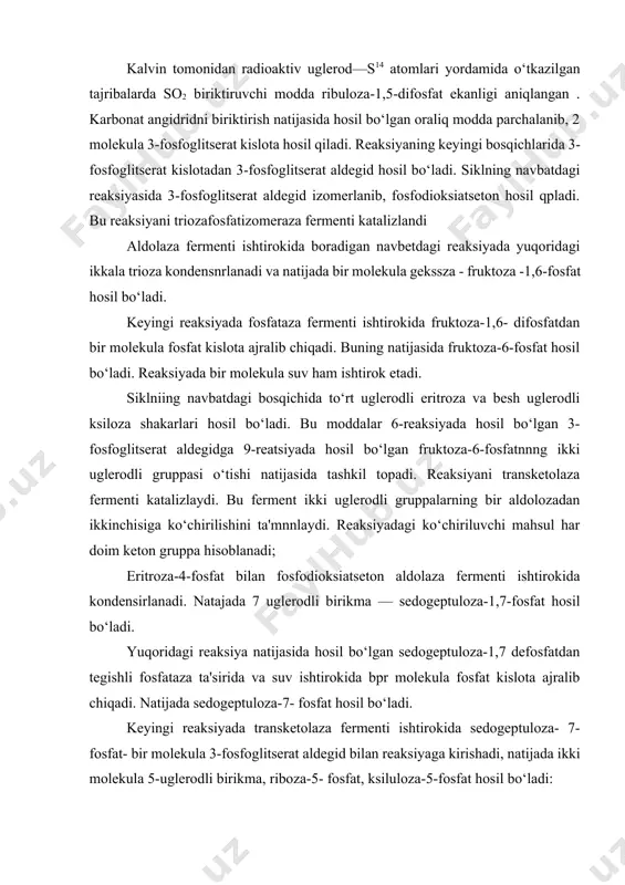 chi mahsul har doim keton gruppa hisoblanadi; eritroza-4-fosfat bilan fosfodioksiatseton aldolaza fermenti ishtirokida kondensirlanadi. natajada 7 uglerodli birikma — sedogeptuloza-1,7-fosfat hosil bo‘ladi. yuqoridagi reaksiya natijasida hosil bo‘lgan sedogeptuloza-1,7 defosfatdan tegishli fosfataza ta'sirida va suv ishtirokida bpr molekula fosfat kislota ajralib chiqadi. natijada sedogeptuloza-7- fosfat hosil bo‘ladi. keyingi reaksiyada transketolaza fermenti ishtirokida sedogeptuloza- 7-fosfat- bir molekula 3-fosfoglitserat aldegid bilan reaksiyaga kirishadi, natijada ikki molekula 5-uglerodli birikma, riboza-5- fosfat, ksiluloza-5-fosfat hosil bo‘ladi: ksiluloza-5-fosfat ksilulozafosfatizomeraza fermenti ishtirokida ribuloza-5-fosfatga aylanadi riboza-5-fosfat esa fosforiboizmeraza fermenti ishtirokida ribuloza- 5-fosfatga aylanadi. ribuloza-5-fosfatning fosforlanishi natijasida ribuloza-1,5-difosfat hosil bo‘ladi. karbonat angidrid o‘zlashtirish siklida ribuloza-5-fosfat katalizatorlik vazifasini bajaradi, deyish ham mumkin. shuning uchun bu birikma doim yangidan xosil bo‘lib turishi kerak. ribuloza-5-fosfat asosan uglevodlarpppg bevosita oksidlanishi siklida xosil buladi. fotosintez protsessida hosil bo‘ladigan birlamchi barqaror modda — fosfoglitserat kislota xisoblanadi. agar bir molekula so3 uchun 3 molekula atf va 2 molekula nadf-n sarflansa, unda i molekula fosfoglitserat kislota xosil bo‘lishi …